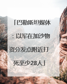 巴勒斯坦媒体：以军在加沙物资分发点附近打死至少28人
