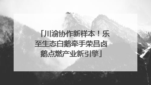 川渝协作新样本！乐至生态白鹅牵手荣昌卤鹅点燃产业新引擎