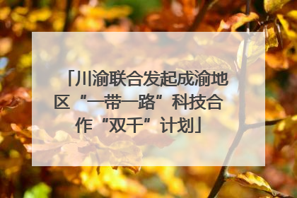 川渝联合发起成渝地区“一带一路”科技合作“双千”计划