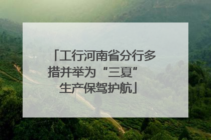 工行河南省分行多措并举为“三夏” 生产保驾护航