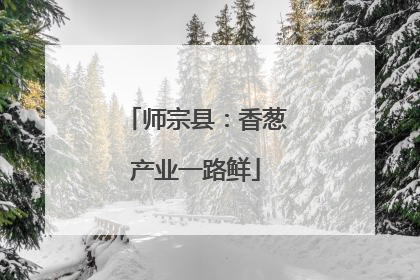 师宗县：香葱产业一路鲜