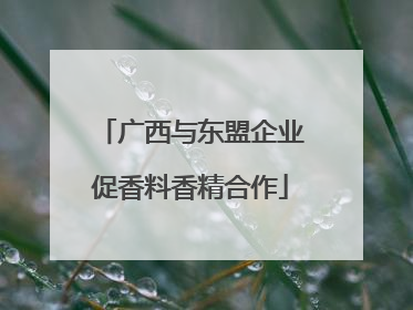 广西与东盟企业促香料香精合作