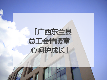 广西东兰县总工会情暖童心呵护成长