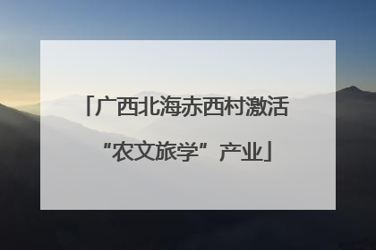 广西北海赤西村激活“农文旅学”产业