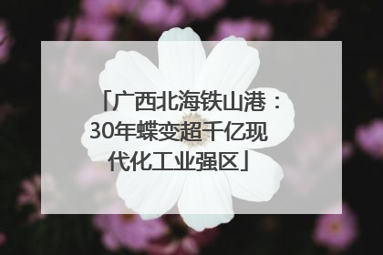 广西北海铁山港：30年蝶变超千亿现代化工业强区
