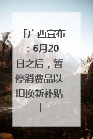 广西宣布：6月20日之后，暂停消费品以旧换新补贴