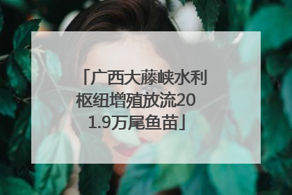 广西大藤峡水利枢纽增殖放流201.9万尾鱼苗