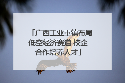 广西工业重镇布局低空经济赛道 校企合作培养人才