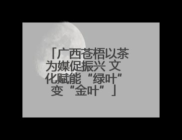 广西苍梧以茶为媒促振兴 文化赋能“绿叶”变“金叶”