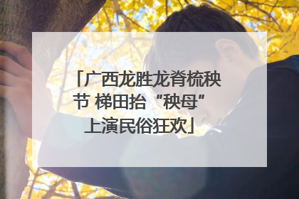 广西龙胜龙脊梳秧节 梯田抬“秧母”上演民俗狂欢
