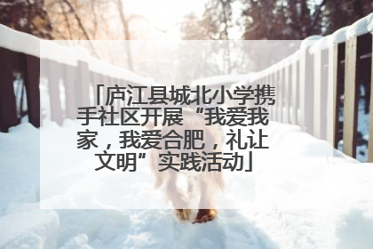 庐江县城北小学携手社区开展“我爱我家，我爱合肥，礼让文明”实践活动