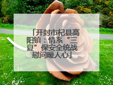 开封市杞县高阳镇：情系“三夏”保安全统战慰问暖人心