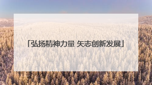 弘扬精神力量 矢志创新发展