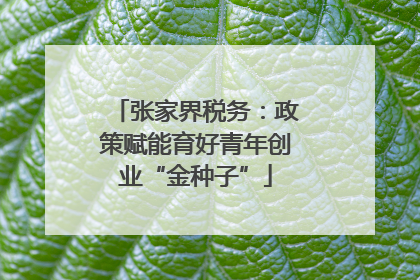 张家界税务：政策赋能育好青年创业“金种子”