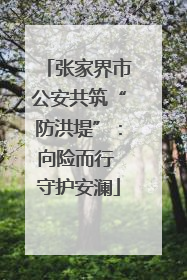 张家界市公安共筑“防洪堤”：向险而行 守护安澜