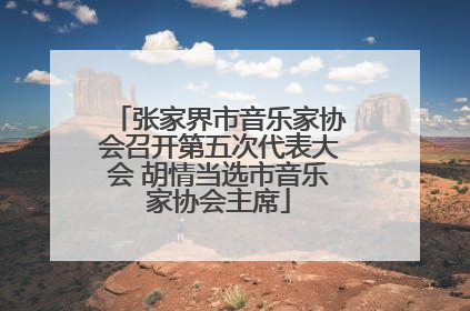 张家界市音乐家协会召开第五次代表大会 胡情当选市音乐家协会主席