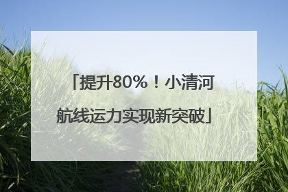 提升80％！小清河航线运力实现新突破