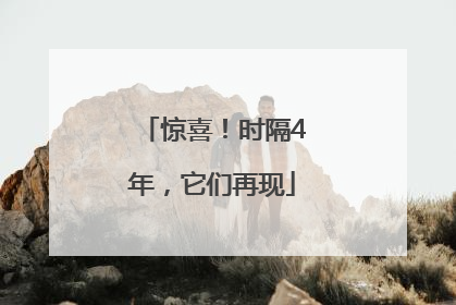 惊喜！时隔4年，它们再现