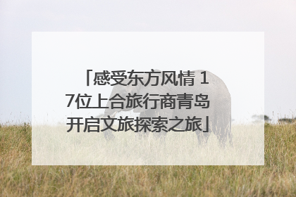 感受东方风情 17位上合旅行商青岛开启文旅探索之旅