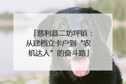慈利县二坊坪镇：从建档立卡户到“农机达人”的奋斗路