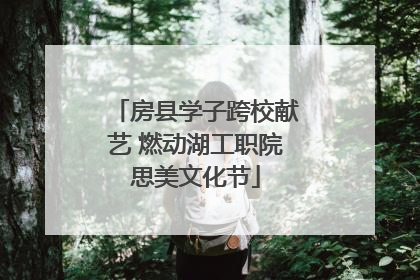 房县学子跨校献艺 燃动湖工职院思美文化节