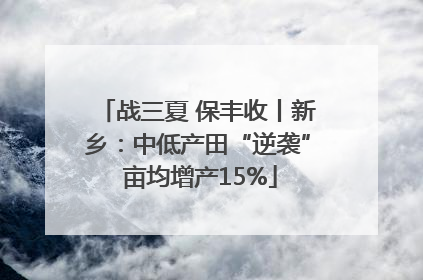 战三夏 保丰收丨新乡：中低产田“逆袭” 亩均增产15%
