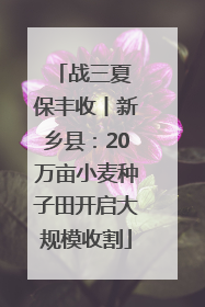战三夏 保丰收丨新乡县：20万亩小麦种子田开启大规模收割