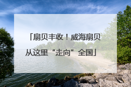 扇贝丰收！威海扇贝从这里“走向”全国