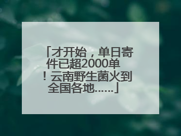 才开始，单日寄件已超2000单！云南野生菌火到全国各地……