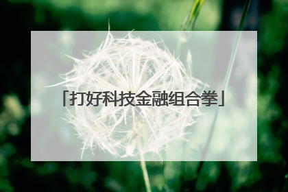 打好科技金融组合拳