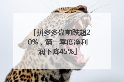 拼多多盘前跌超20%，第一季度净利润下降45%