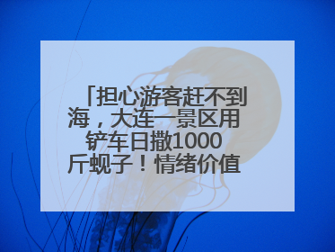 担心游客赶不到海，大连一景区用铲车日撒1000斤蚬子！情绪价值拉满！