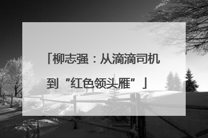 柳志强：从滴滴司机到“红色领头雁”