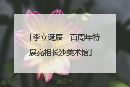 李立诞辰一百周年特展亮相长沙美术馆