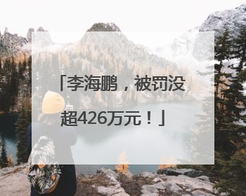 李海鹏，被罚没超426万元！