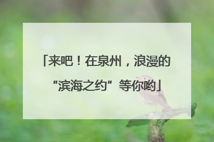 来吧！在泉州，浪漫的“滨海之约”等你哟