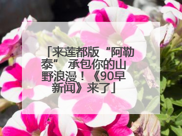 来莲都版“阿勒泰” 承包你的山野浪漫！《90早新闻》来了