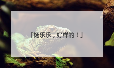 杨乐乐，好样的！