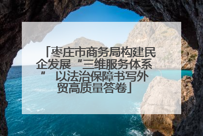 枣庄市商务局构建民企发展“三维服务体系” 以法治保障书写外贸高质量答卷