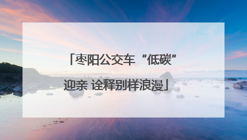 枣阳公交车“低碳”迎亲 诠释别样浪漫