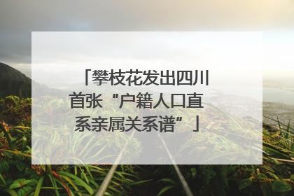 攀枝花发出四川首张“户籍人口直系亲属关系谱”