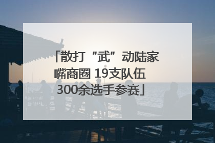 散打“武”动陆家嘴商圈 19支队伍300余选手参赛