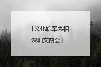 文化皖军亮相深圳文博会