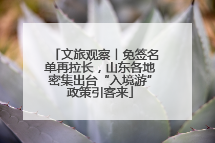 文旅观察丨免签名单再拉长，山东各地密集出台“入境游”政策引客来