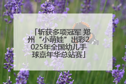 斩获多项冠军 郑州“小萌娃”出彩2025年全国幼儿手球嘉年华总站赛