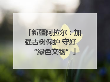 新疆阿拉尔：加强古树保护 守好“绿色文物”