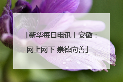 新华每日电讯丨安徽：网上网下 崇德向善