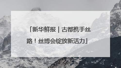 新华鲜报｜古都携手丝路！丝博会绽放新活力