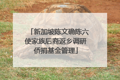 新加坡陈文确陈六使家族后裔返乡调研侨捐基金管理