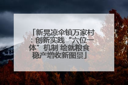 新晃凉伞镇万家村：创新实践“六位一体”机制 绘就粮食稳产增收新图景
